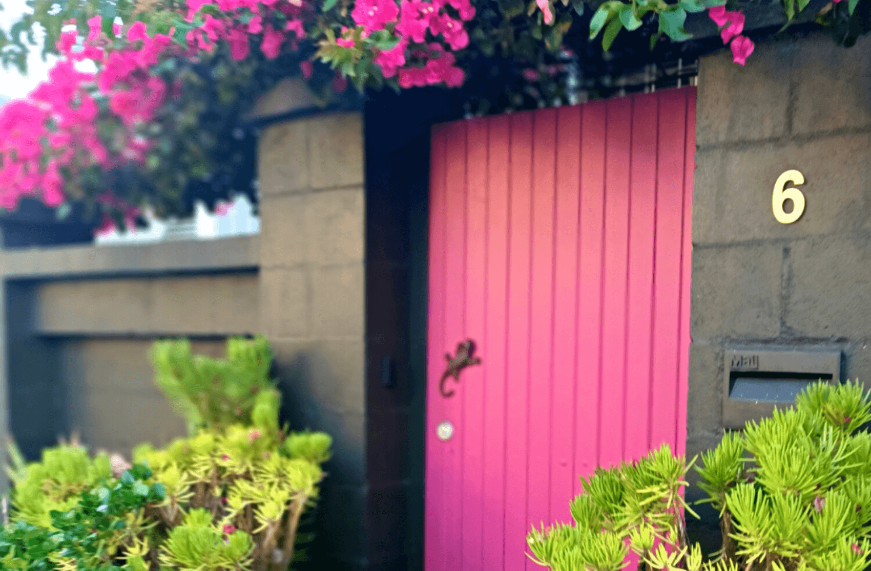 An exterior pink door to a gate guarding a quaint house in Paddington.