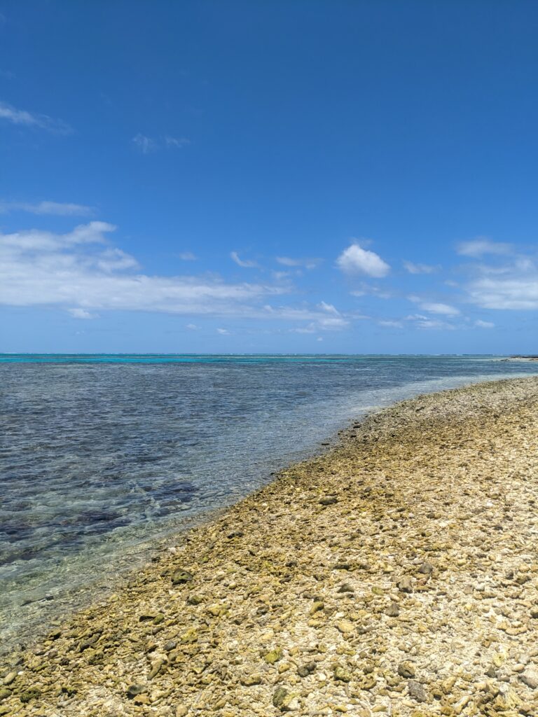 The view from Lady Musgrave Island, where we travelled from the Town of 1770.