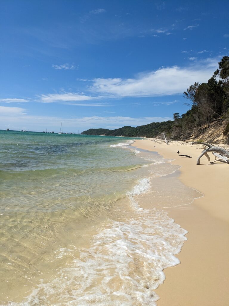 The view on Mulgumpin (Moreton Island).