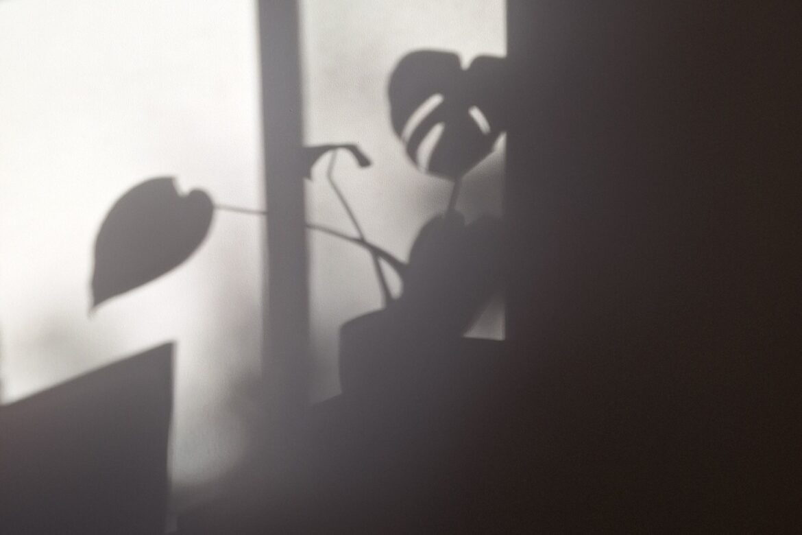 Featured Image